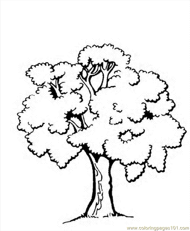 a tree to colour Colouring Pages (page 2)