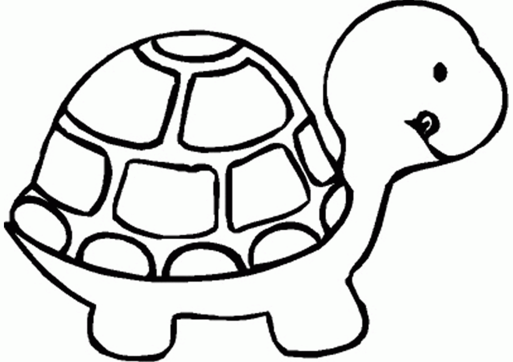 Baby turtle coloring pages coloring pages sheets