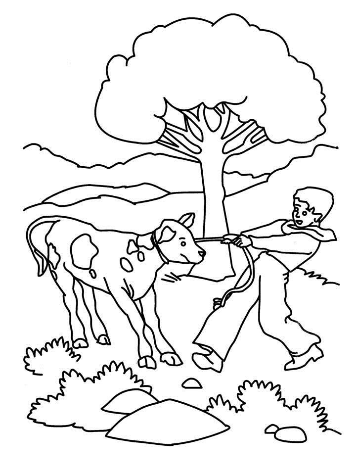 Boy pulling cow coloring printable for kids: Boy pulling cow 