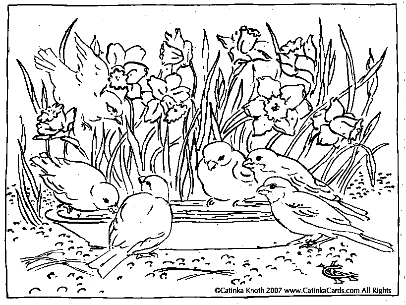 Garden Of Eden Coloring Pages 83 | Free Printable Coloring Pages