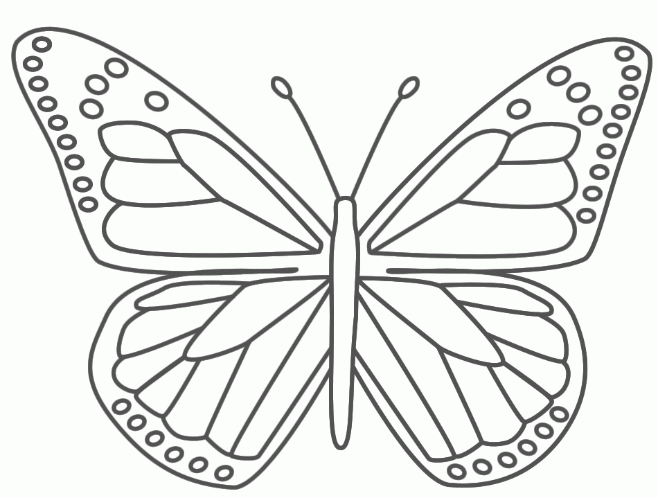 Butterflies Coloring Pages For KidsColoring Pages | Coloring Pages