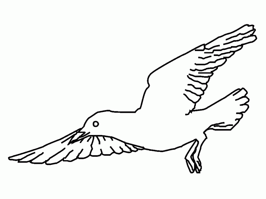 Coloring Picture Of Gaviota Child Coloring 163806 Seagull Coloring 