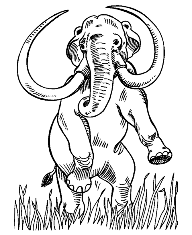 Dinosaur Coloring Pages | Printable Mastodon coloring page and 