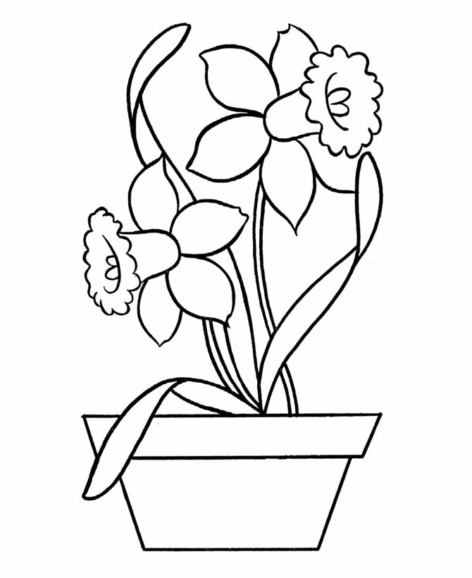 Easy Coloring Pages | Free Printable Daffodils in Pot Easy 