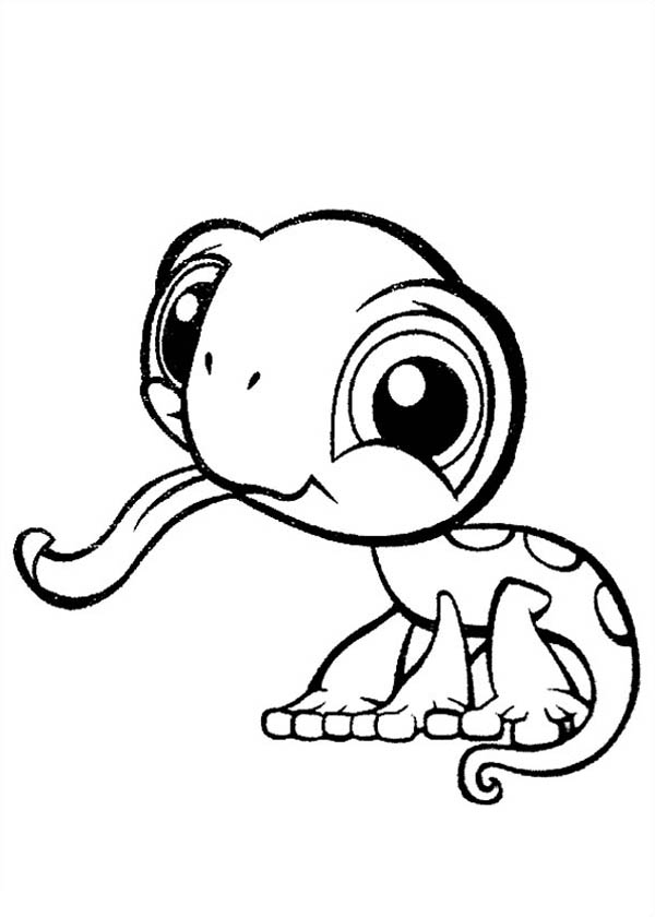 cute chameleon coloring pages - Clip Art Library
