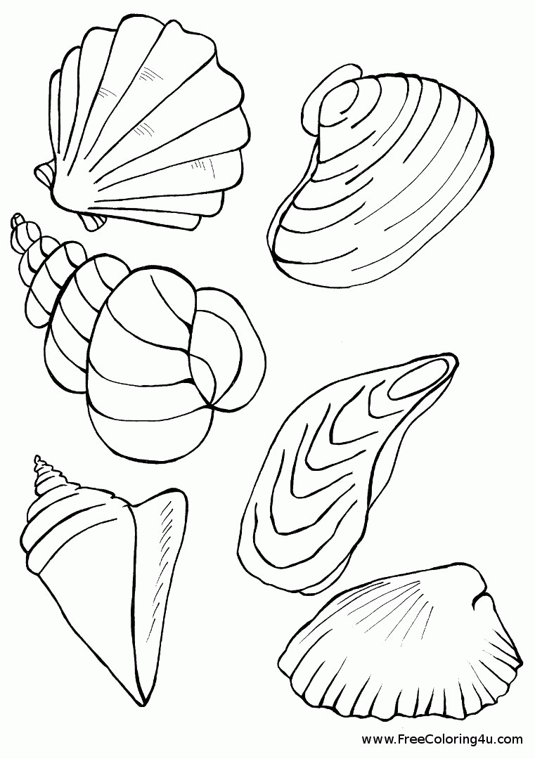 Shells coloring page - coloring book