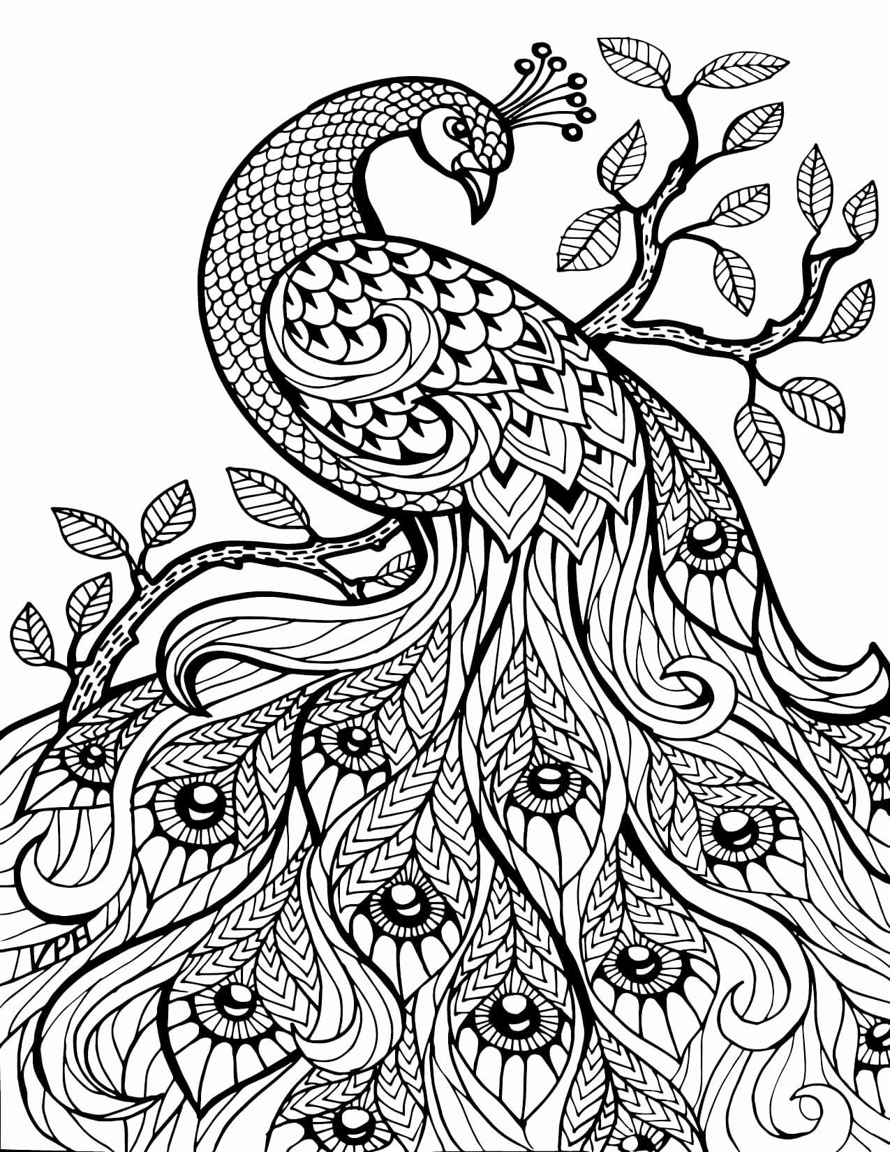 Pin on Best Animal Coloring Pages