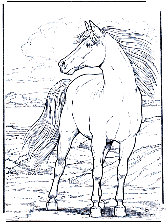 Horse coloring - Free Animal coloring pages sheets Horse