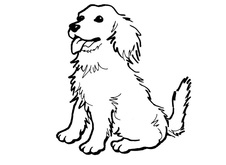 368 Cartoon Collie Dog Coloring Pages with Printable