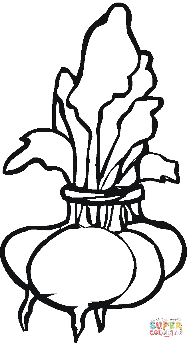 Beetroot 1 coloring page | Free Printable Coloring Pages