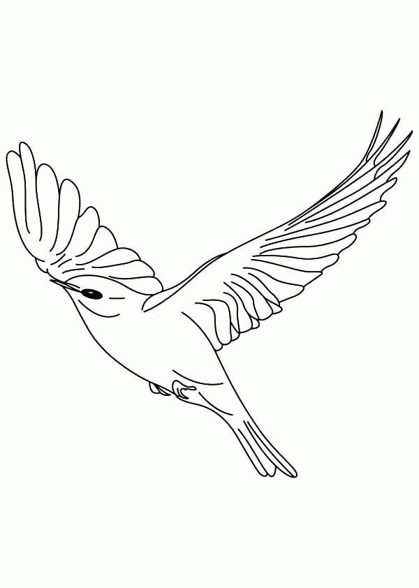 Canary Bird Floating in the Sky Coloring Pages | Best Place to Color