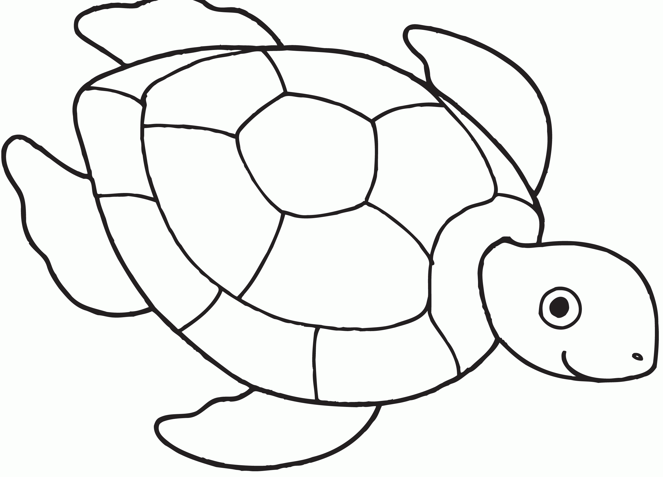 Related Turtle Coloring Pages item-12123, Turtle Coloring Pages ...