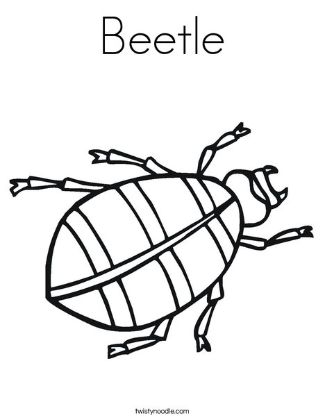 Beetle Coloring Page - Twisty Noodle