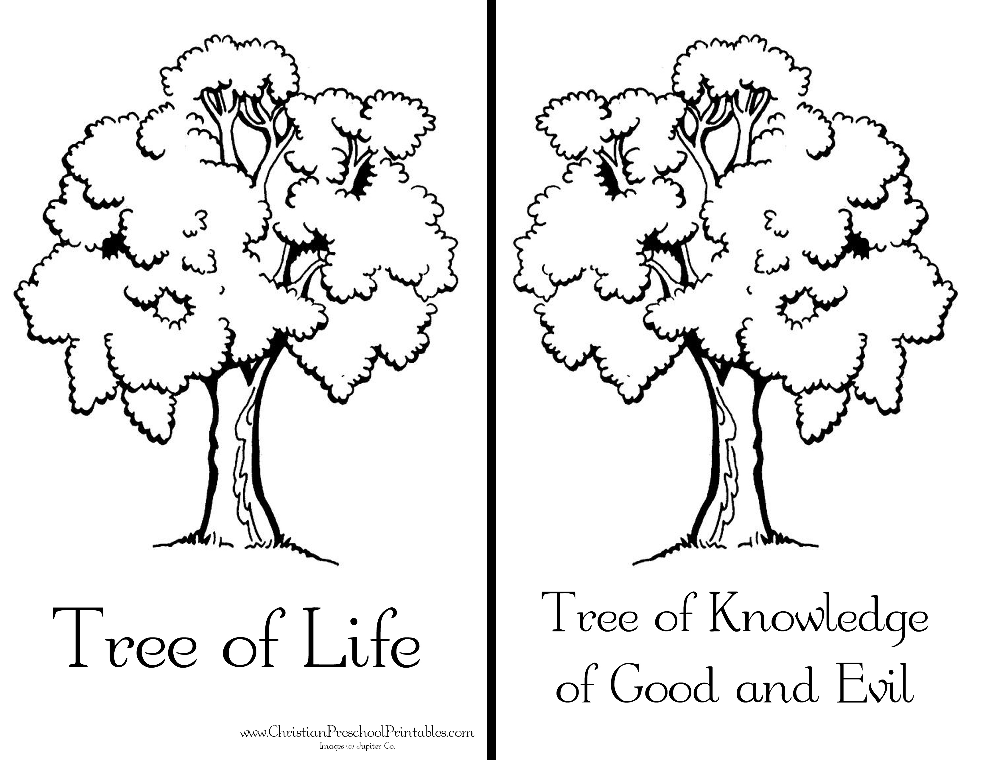 Tree Of Life Coloring Pages - Coloring Home