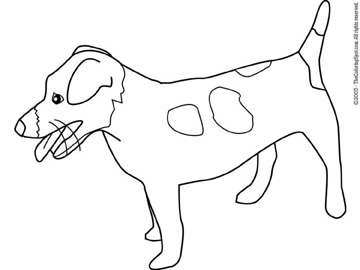 Jack Russell Terrier Coloring Page | Audio Stories for Kids | Free Coloring  Pages | Colouring Printables
