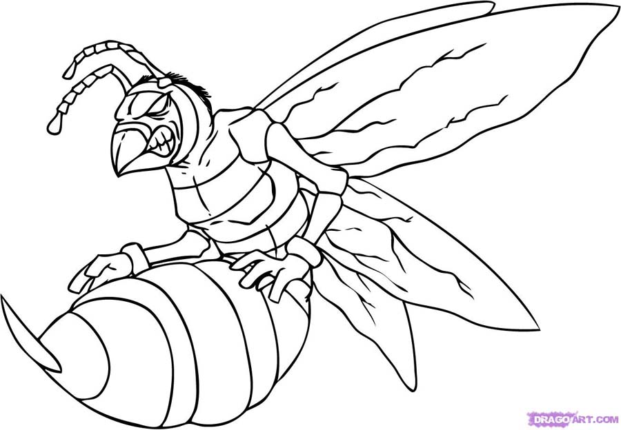 Hornet Coloring Pages - Coloring Pages Kids 2019