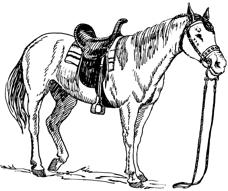realistic horse coloring pages | Online Coloring Pages