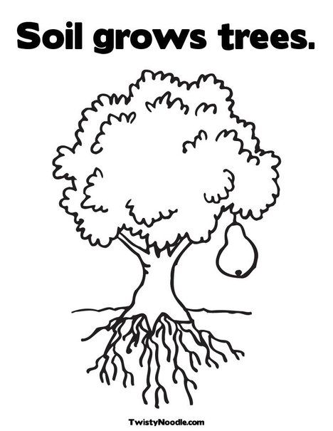 Soil grows trees Coloring Page | Tree coloring page, Coloring pages, Coloring  pages nature
