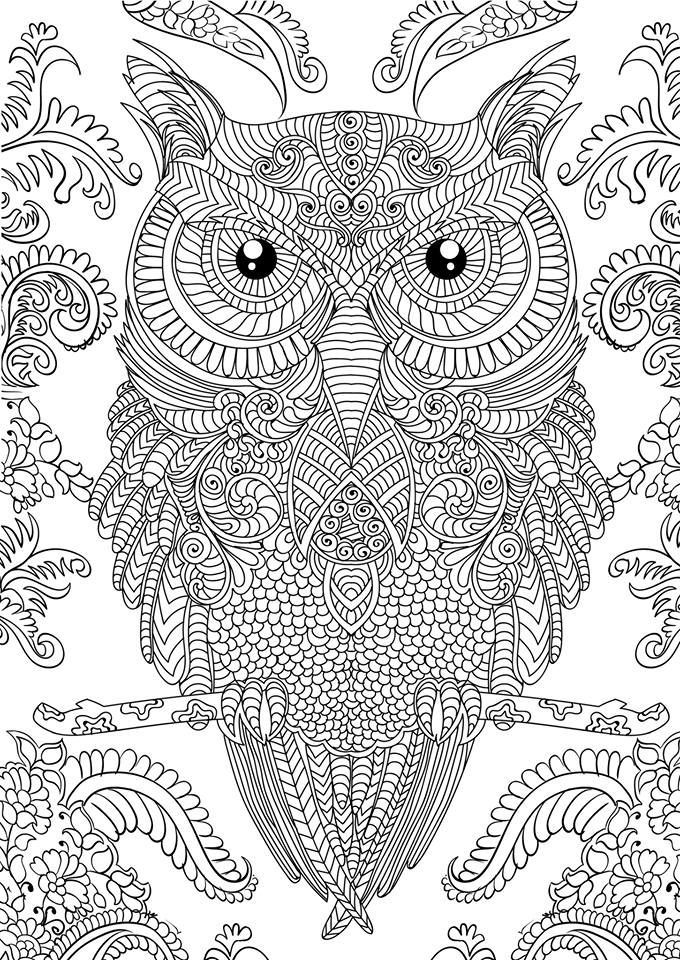 1000+ ideas about Cool Coloring Pages | Colouring ...
