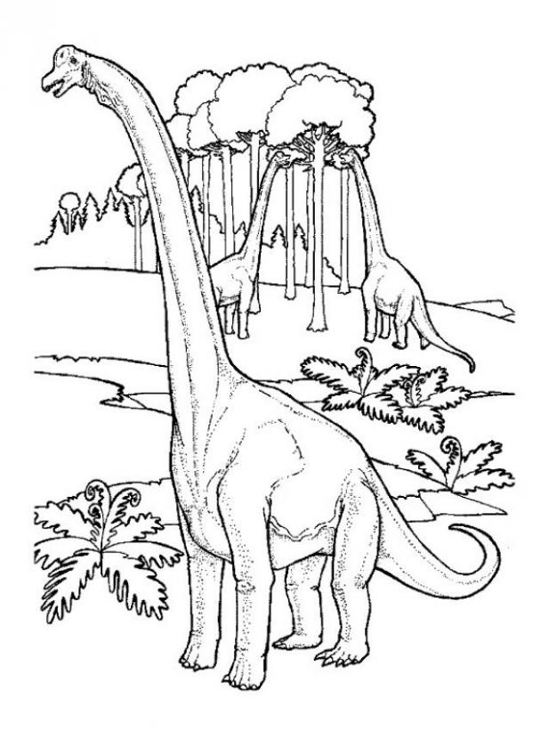 Argentinosaurus Coloring Pages | Dinosaurs Pictures and Facts