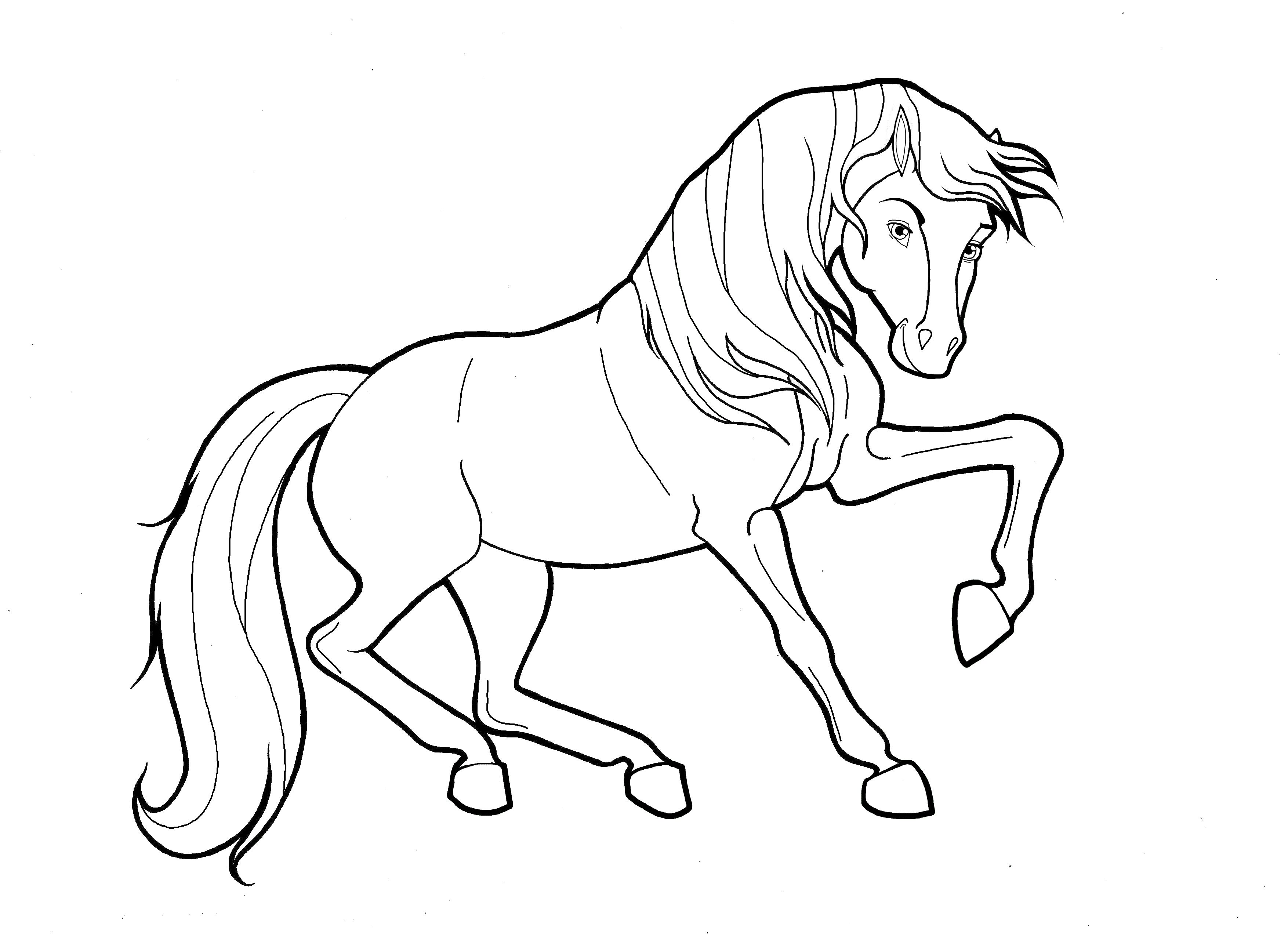 Draft Horse Coloring Pages   Coloring Home