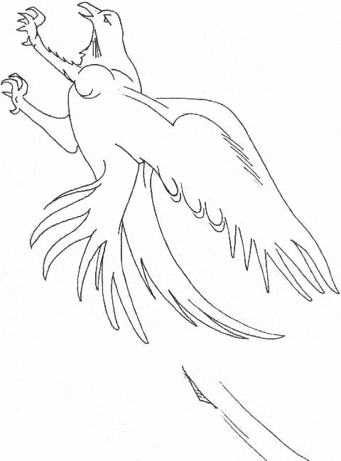 Falcon coloring page - Animals Town - animals color sheet - Falcon free  printable coloring pages animals