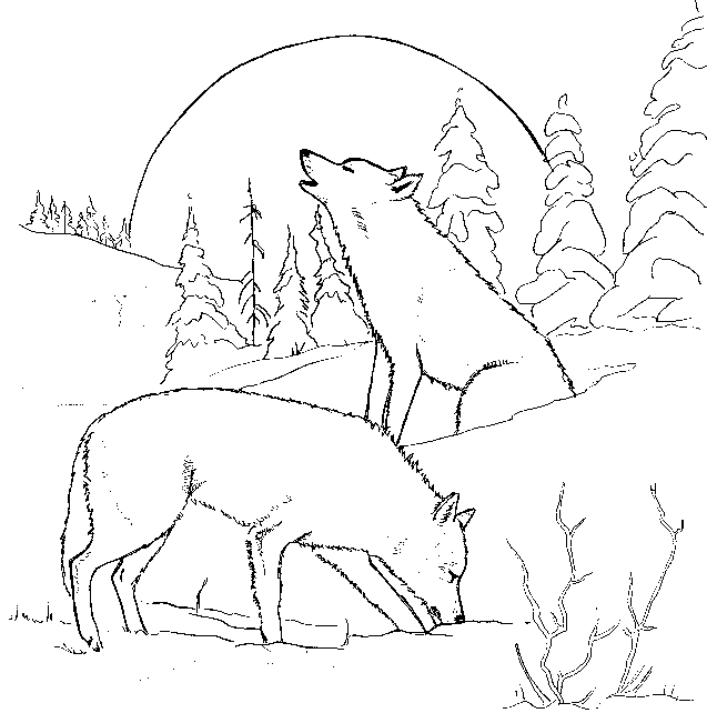 Wolf #1 (Animals) – Printable coloring pages