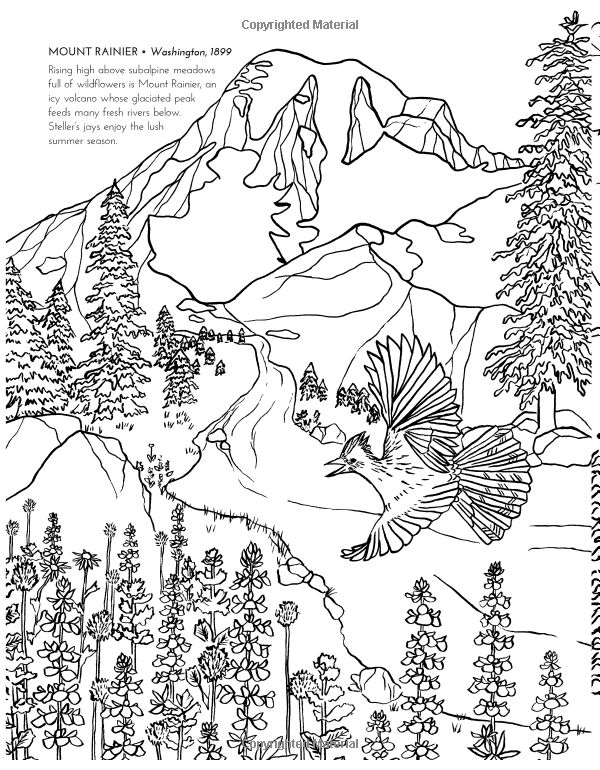 The National Parks Coloring Book: Sophie Tivona: 9780062560018: Books -  Amazon.ca | Coloring books, National parks, Coloring pictures