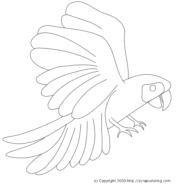 Macaw coloring page