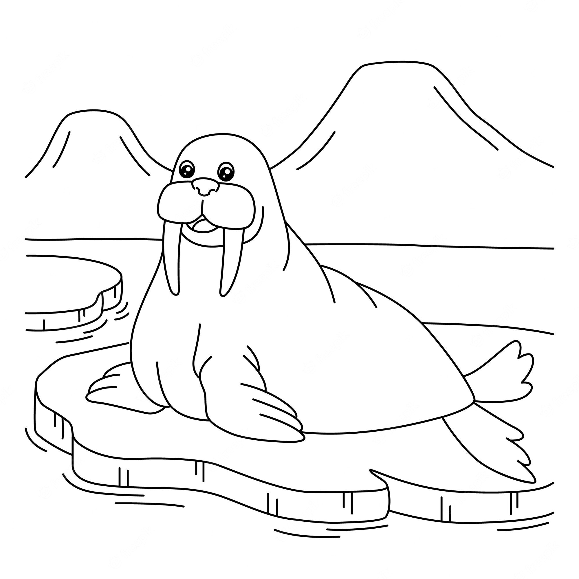 Premium Vector | Walrus coloring page for kids