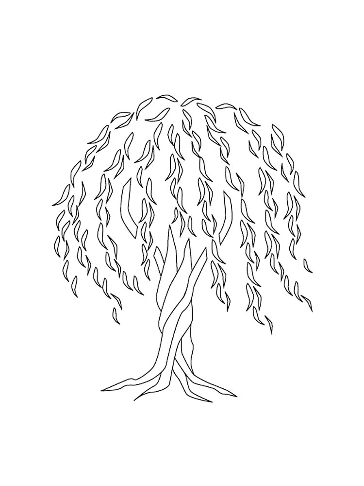 Willow Tree coloring pages for kids. Free Printable Willow Tree coloring  pages