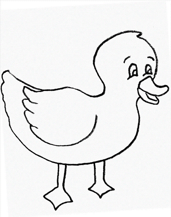 Free Mallard Duck Coloring Pages, Download Free Mallard Duck Coloring Pages  png images, Free ClipArts on Clipart Library