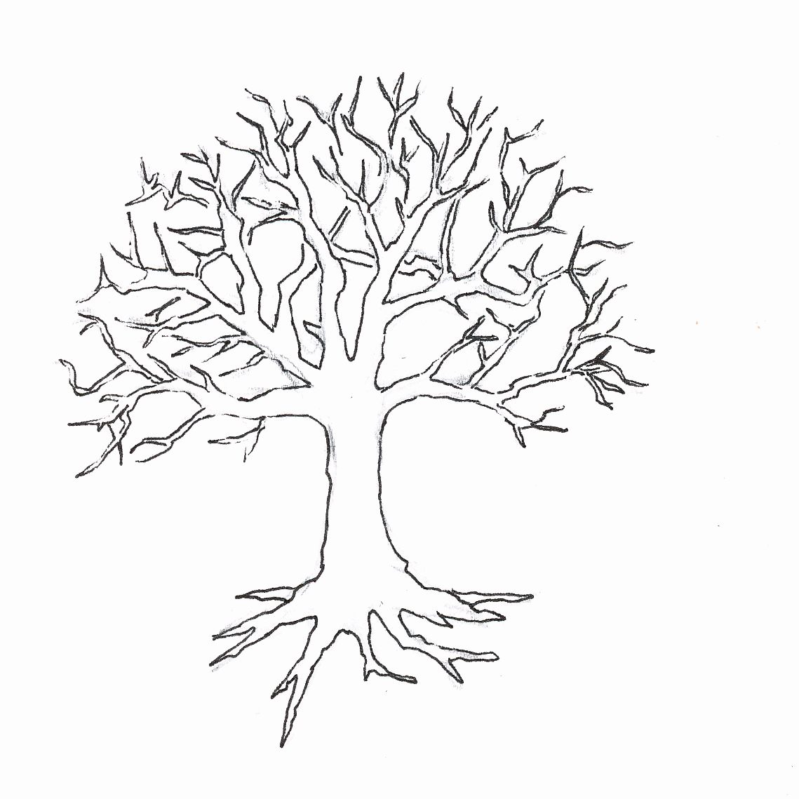 Coloring Page Of A Tree Without Leaves - Coloring