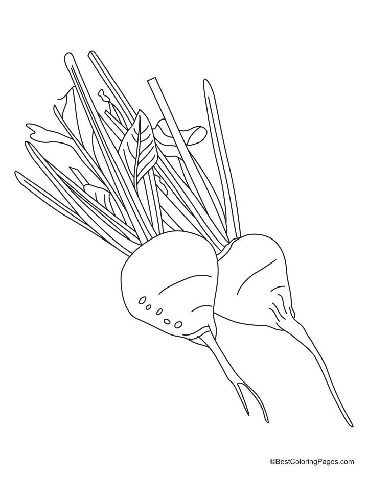 Two beetroot coloring pages | Download Free Two beetroot coloring ...