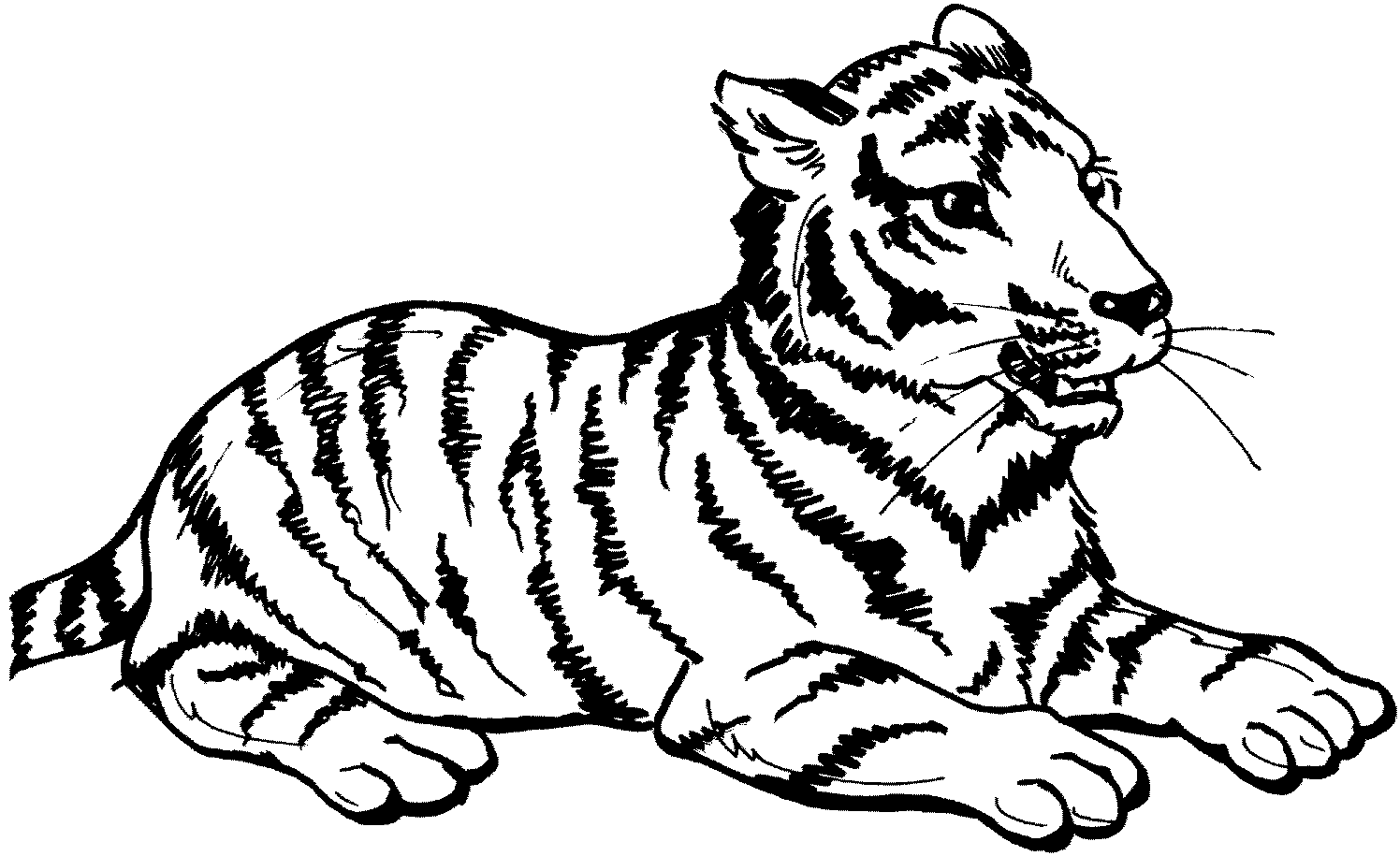 Amazing of Stunning Baby Tiger Coloring Page About Tiger #1371