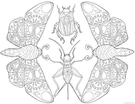 Moth Coloring Pages - Coloring Home