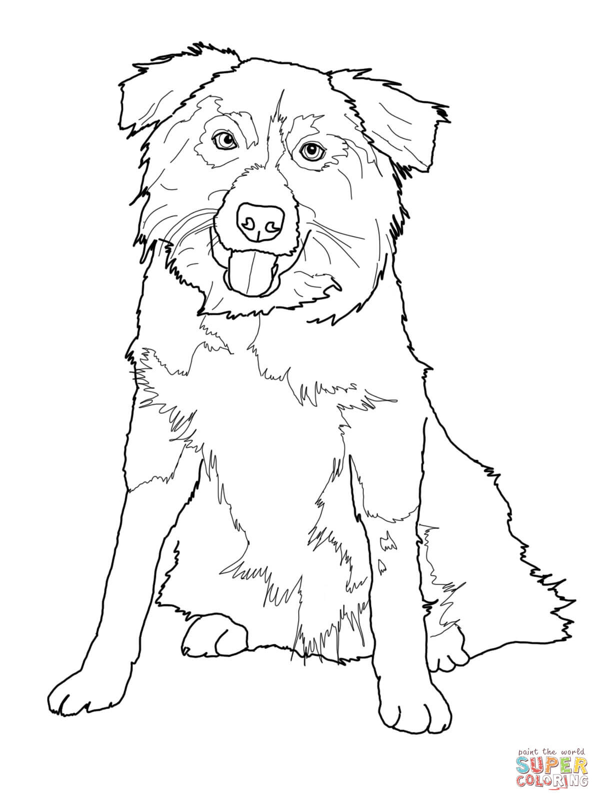 Border Collie Coloring Page