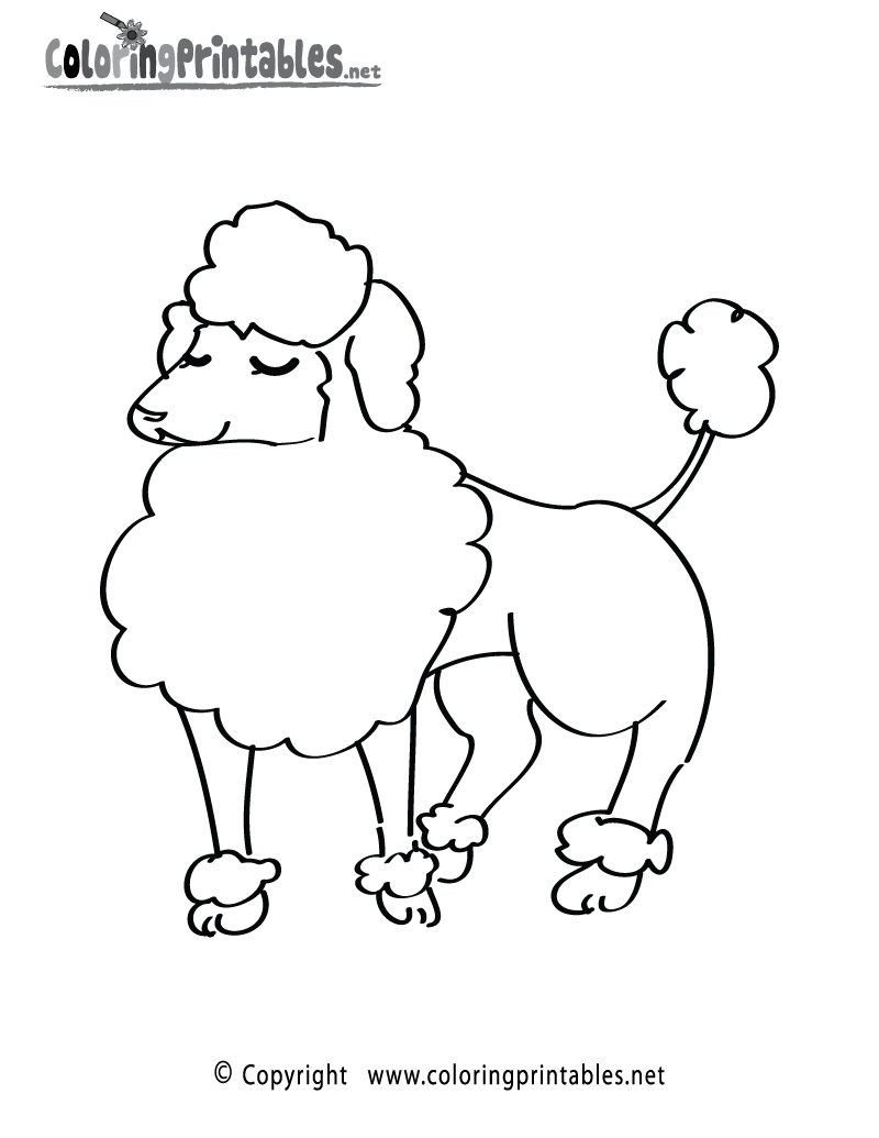 Poodle Coloring Page - A Free Animal Coloring Printable