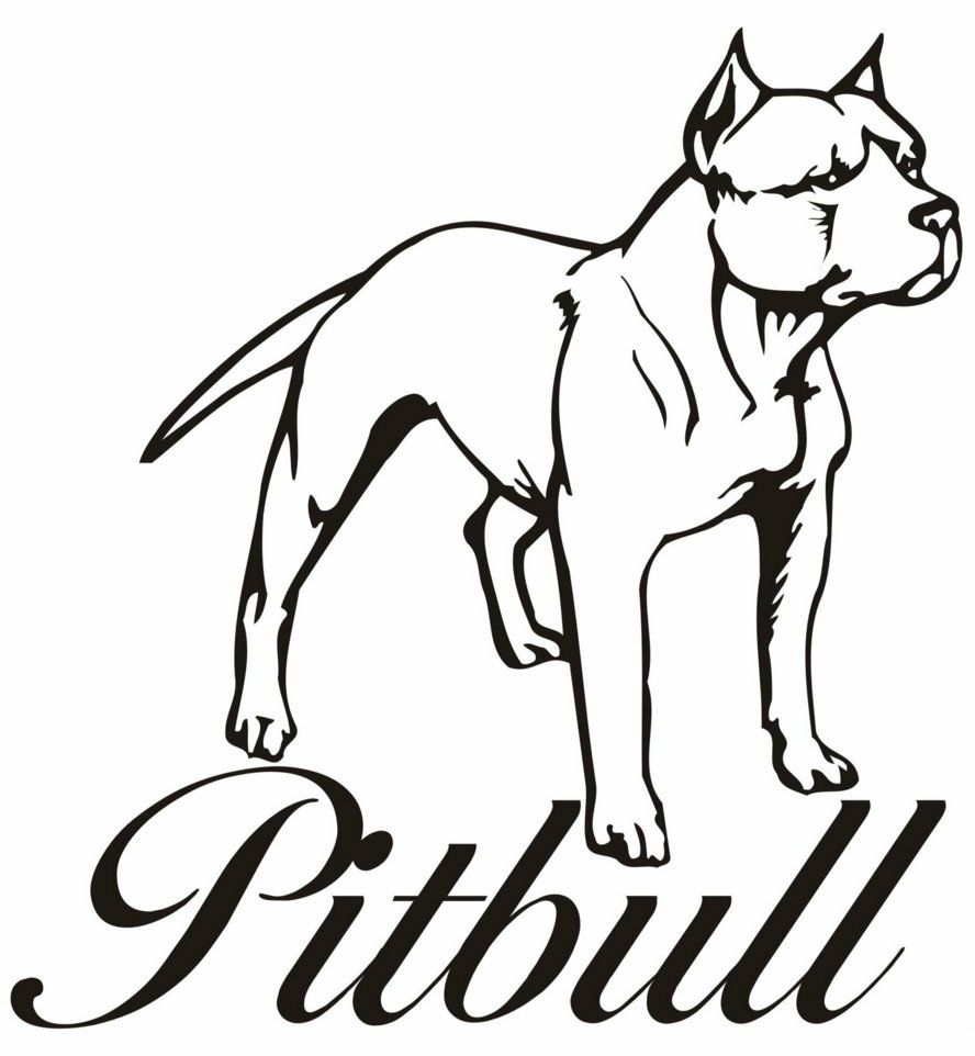 Pitbull Dog Coloring Pages - Coloring Home