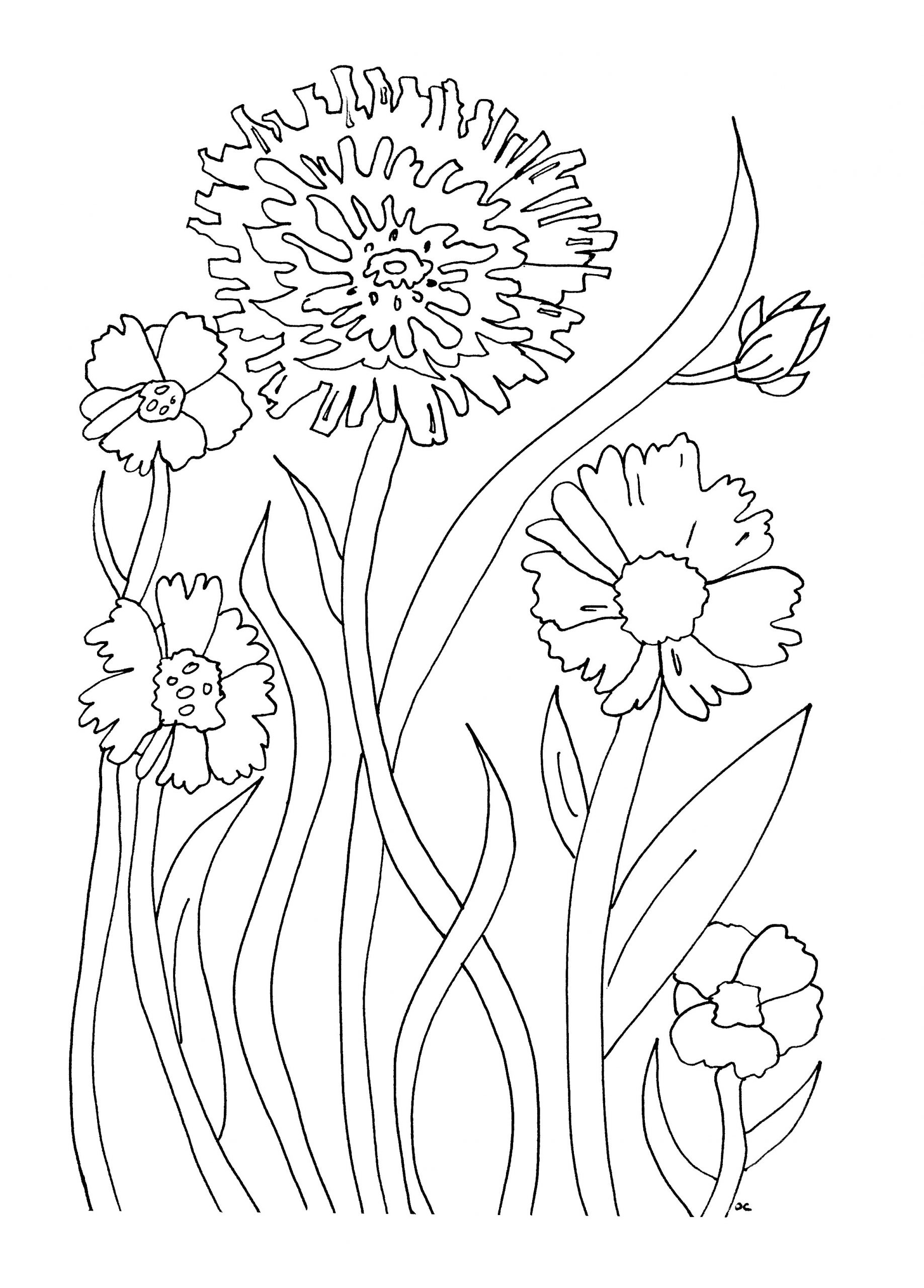 Coloring Books : Flower To Color English Coloring Pages ...