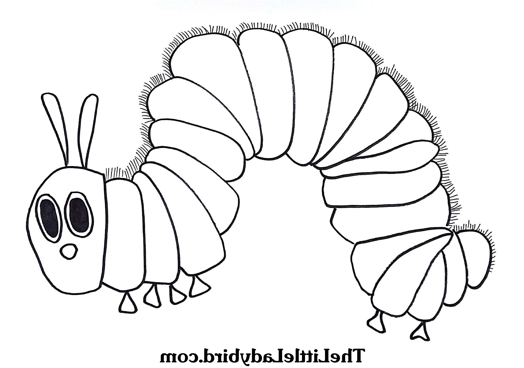 25 Most Superlative Very Hungry Caterpillar Coloring Page Cartoon ...