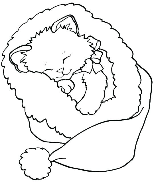 Cute Kitten Printable Coloring Pages