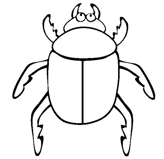 Download Big Beetle Coloring Pages | Bug Coloring Pages, Insect ...