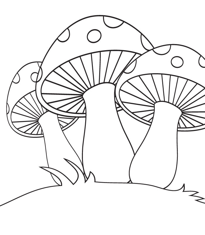 Mushroom Printable Coloring Pages - Printable World Holiday