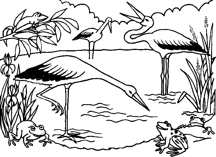 Ecosystem Coloring Page - AZ Coloring Pages | Animal coloring pages, Cute coloring  pages, Bird coloring pages