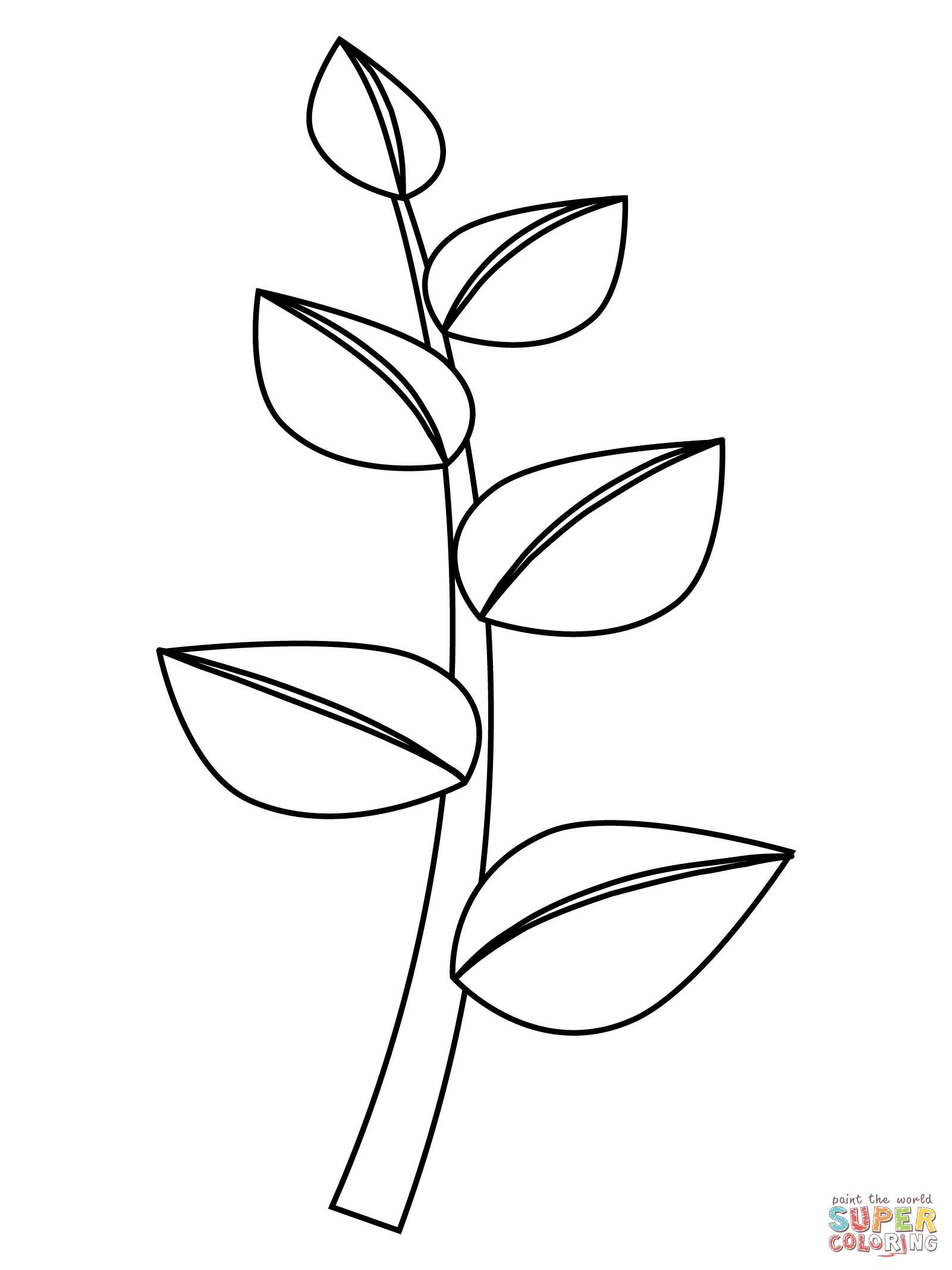 Herb coloring page | Free Printable Coloring Pages