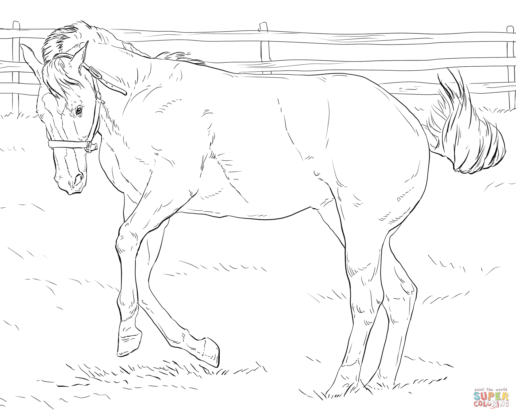 Bucking Horse coloring page | Free Printable Coloring Pages
