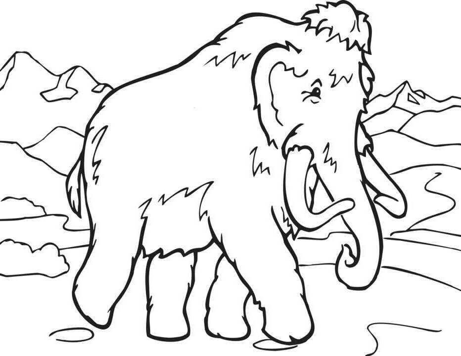 tundra biome Colouring Pages