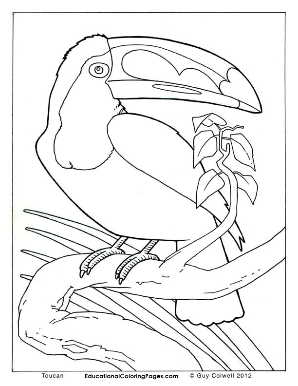 real coloring pages | Animal Coloring Pages for Kids