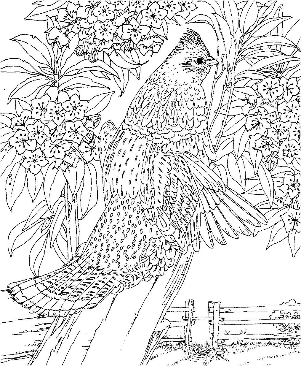 Hard To Color - Coloring Pages for Kids and for Adults